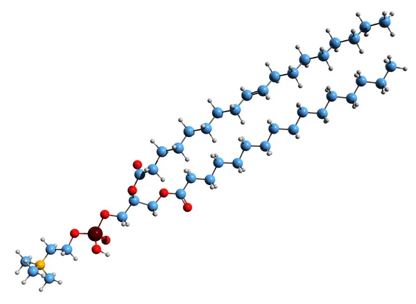 Image Palmitoyl Oleoyl Phosphatidylcholine Skeletal Formula Molecular Chemical Structure Phosphatidylcholine — Zdjęcie stockowe