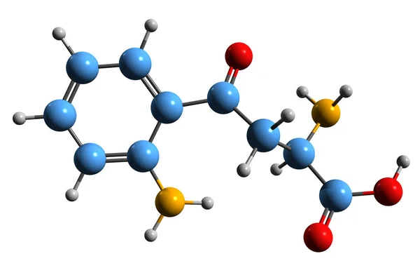 Image Kynurenine Skeletal Formula Molecular Chemical Structure Tryptophan Metabolite Isolated — Foto de Stock