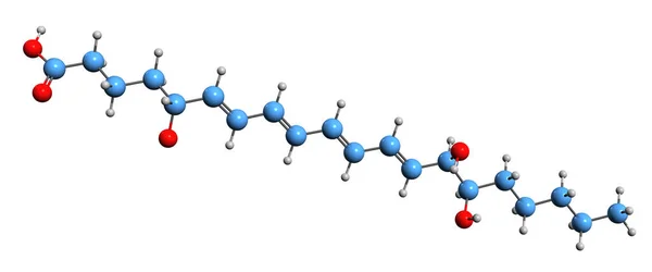 Image Lipoxin Skeletal Formula Molecular Chemical Structure Nonclassic Eicosanoid Isolated —  Fotos de Stock