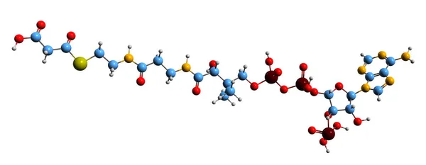 Image Malonyl Coa Skeletal Formula Molecular Chemical Structure Coenzyme Derivative — Foto de Stock