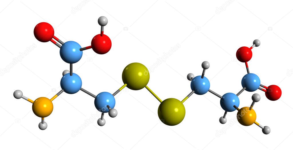  3D image of L-cystine skeletal formula - molecular chemical structure of 921 isolated on white background