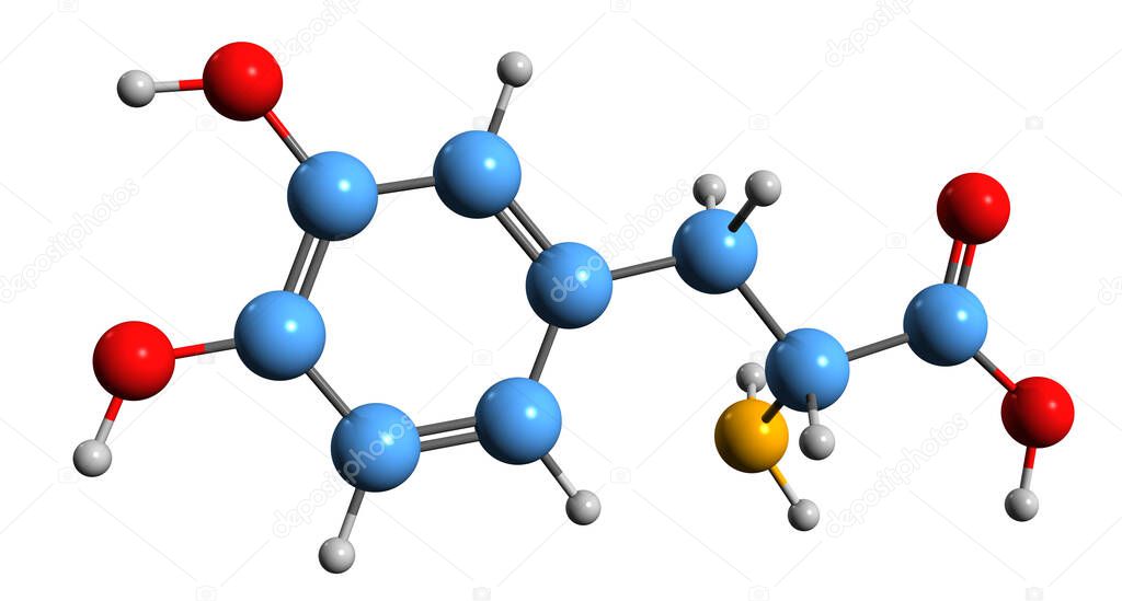 3D image of levodopa skeletal formula - molecular chemical structure of psychoactive drug isolated on white background