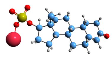 3D image of Nandrolone sulfate skeletal formula - molecular chemical structure of synthetic androgen and anabolic steroid isolated on white background