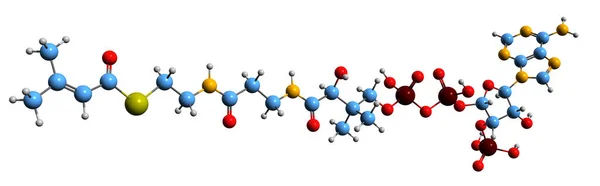 Image Methylcrotonyl Coa Skeletal Formula Molecular Chemical Structure Leucine Intermediate — Foto de Stock