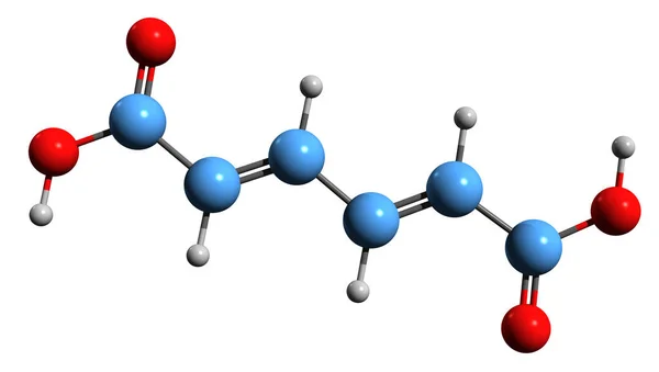 Image Muconic Acid Skeletal Formula Molecular Chemical Structure Isolated White — Photo