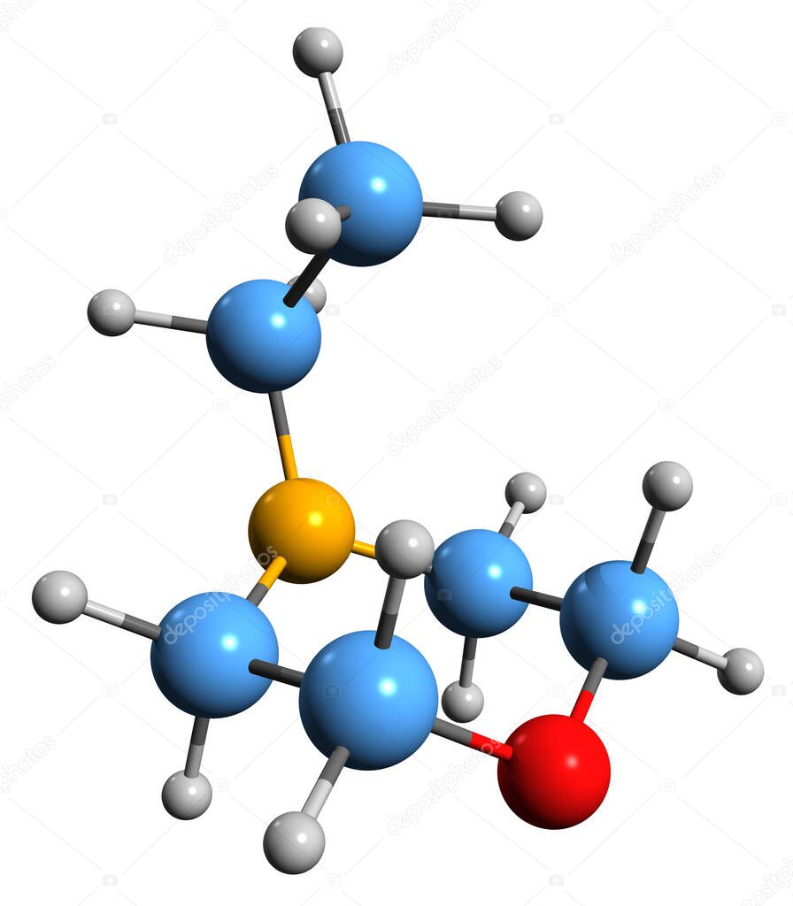 3D image of N-ethylmorpholine skeletal formula - molecular chemical structure of compound isolated on white background