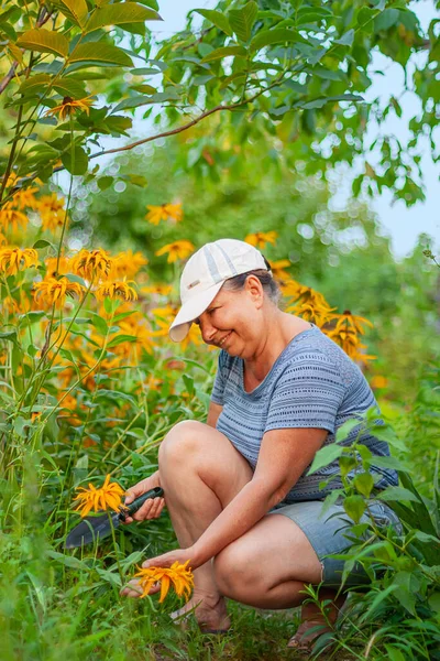 Eine Frau Arbeitet Garten Und Pflückt Blumen Gartenarbeit Gartenarbeit — Stockfoto
