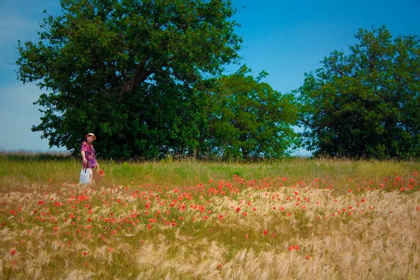 Landschaft Stil Claude Monets Impressionistische Landschaft Mohnfeld Und Eine Dame — Stockfoto