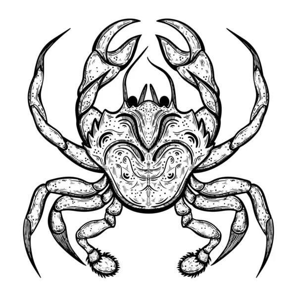 螃蟹矢量图标 手绘插图 海鲜素描 有爪子的壳中的一种海洋动物 咖啡店装饰与设计的黑白自然概念 — 图库矢量图片