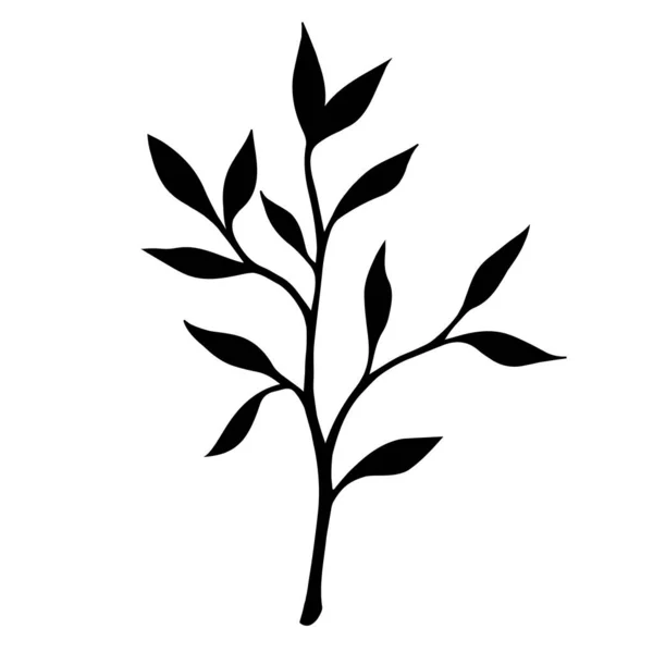 シルエットの小枝と葉のベクトルアイコン 手描きのドア 植物スケッチ カード 事務用品 織物の装飾とデザインのための黒白の要素 — ストックベクタ