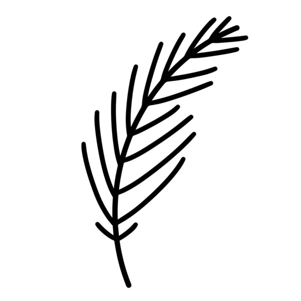 Значок Вектора Ветвей Хвойных Деревьев Ручная Иллюстрация Выделена Белом Фоне — стоковый вектор