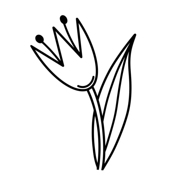 Icona Del Vettore Tulipano Illustrazione Disegnata Mano Isolata Sfondo Bianco — Vettoriale Stock