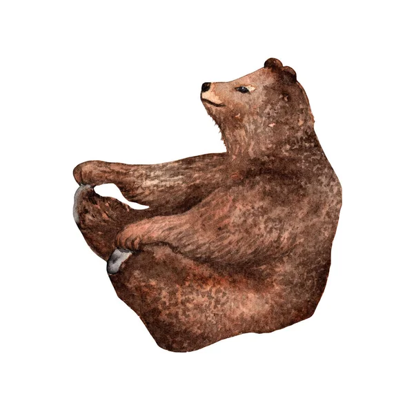 Медведь Сидит Зоотворческий Плакат Графика Рисунок Силуэта Животных — стоковое фото