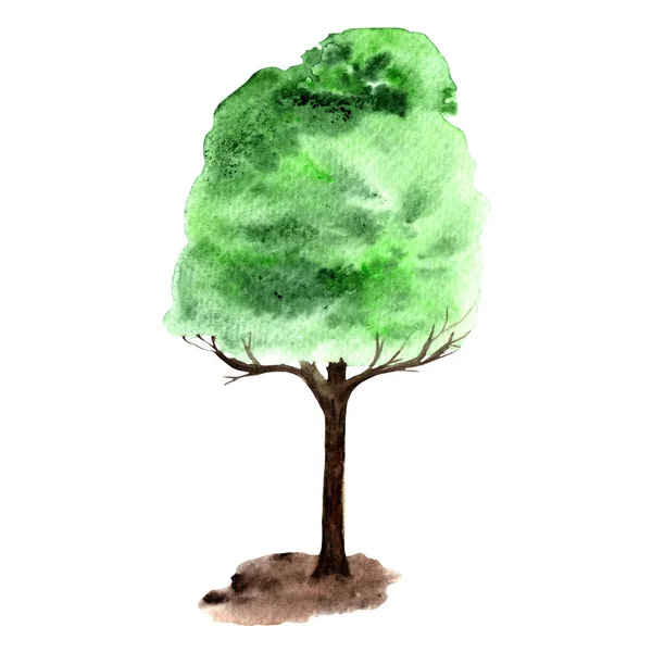 Green Tree Hand Painted Eco Concept — Zdjęcie stockowe