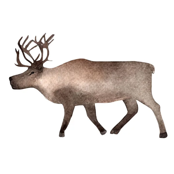 Moose Stands Zoo Creative Poster Graphic Animal Silhouette Sketch Animal — Fotografia de Stock