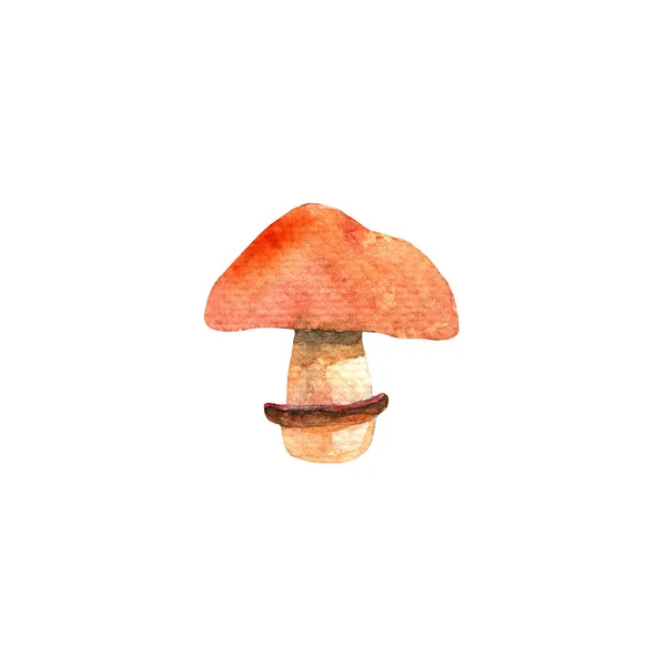 Cortinarius Caperatus Mushrooms Watercolor Hand Painted Illustration White Background — Stockfoto