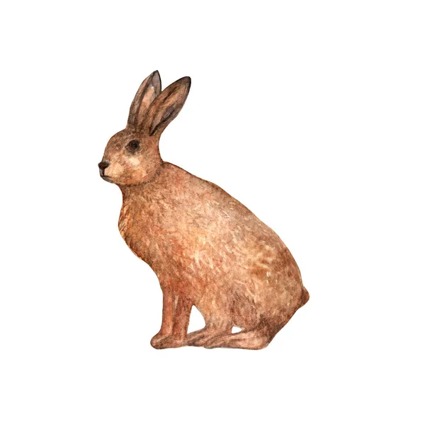 Cartel Creativo Rabbit Zoo Gráfico Dibujo Silueta Animal Gráfico Animal — Foto de Stock