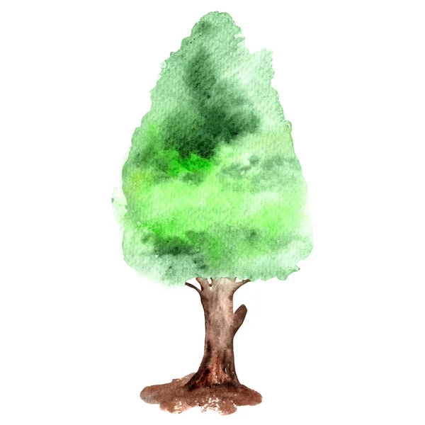 Green Tree Hand Painted Eco Concept — Fotografia de Stock