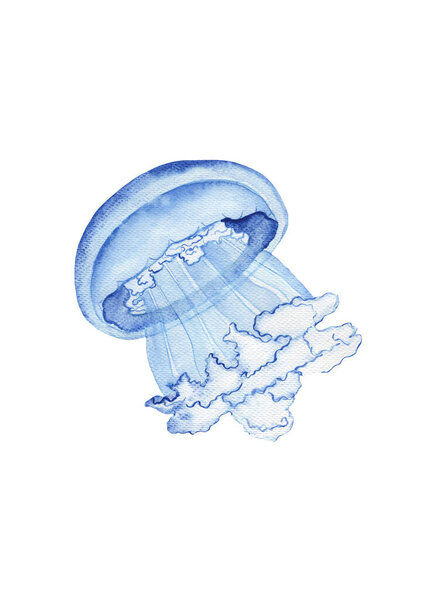 Акварель милая животная печать. Медуза. Морская жизнь под морской иллюстрацией. Карикатурные морские пейзажи, изолированные для сбора аквариумной или морской воды