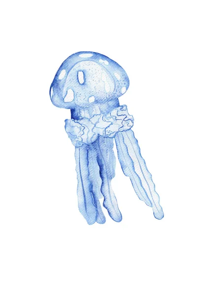 Acuarela Lindo Animal Print Jellyfish Marine Vida Bajo Mar Ilustración —  Fotos de Stock