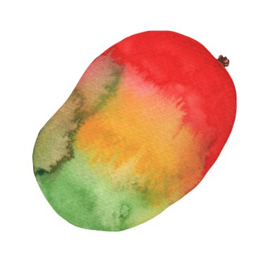 Mango hand drawn watercolor, on a white background. Watercolor illustration.