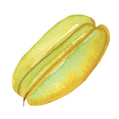 Yellow carambol, watercolor illustration on white background.Tropical fruit.