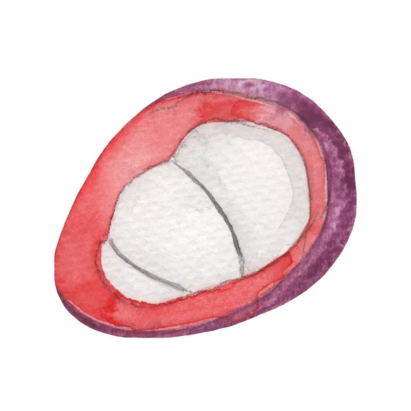 Watercolor Illustration Litchi Whole Isolated White Background — Stok fotoğraf