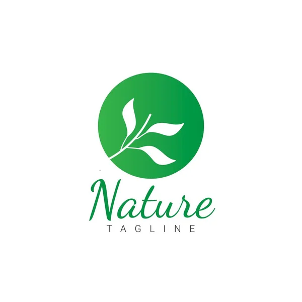 Zelený Strom List Přírodního Prvku Vektorové Logo — Stockový vektor