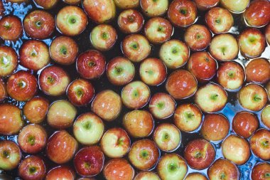 Gıda işleme tesisinde, konveyör bandında temiz ve taze elmalar. Sağlıklı meyve, gıda üretimi ve otomatikleştirilmiş gıda endüstrisi kavramı.