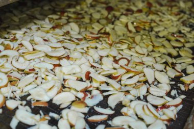 Yiyecek işleme tesisinde, konveyör bandında dilimlenmiş elmalar.