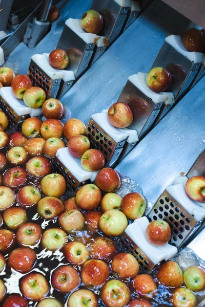 Rena Och Färska Äpplen Innan Rivning Och Styckning Livsmedelsbearbetningsanläggningen Friska — Stockfoto