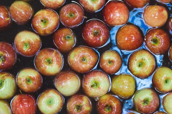 Gıda işleme tesisinde, konveyör bandında temiz ve taze elmalar. Sağlıklı meyve, gıda üretimi ve otomatikleştirilmiş gıda endüstrisi kavramı.