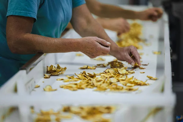 Manzanas Cortadas Rodajas Secas Una Cinta Transportadora Una Instalación Procesamiento — Foto de Stock