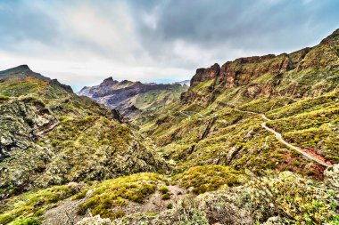 Tenerife 'deki küçük dağ yolu.