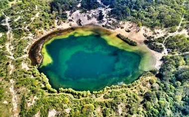 Hollanda 'daki kum tepelerinde saklı küçük bir gölet..