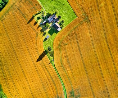 Almanya 'daki buğday tarlaları, arka planda dağlar olan hava fotoğrafçılığı.