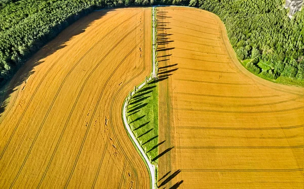 Пшеничне Поле Німеччині Аерофотозйомка Горами Задньому Плані — стокове фото