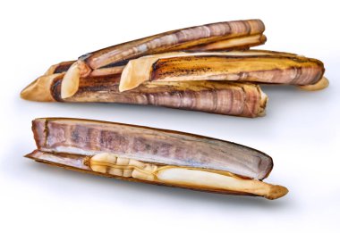 Kapalı midyeleri aç kabuklu deniz hayvanlarını beyaz arka planda izole et.