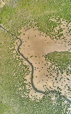 Bataklıklar, Hollanda 'da korunan doğa görüntüleri..