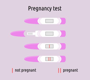 Hamilelik testi izole edildi. Negatif ve pozitif sonuçlar. Bir ve iki şeritli testler, hamile ve değil, açık ve kapalı. Vektör düz nesne çizimleri koleksiyonu
