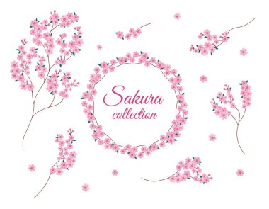 Sakura çiçekleri izole edilmiş dallar oluşturur. Sakura çiçeğinin vektör koleksiyonu. Çiçek elementleri tasarla ve beyaz arka planda yuvarlak çerçeve.