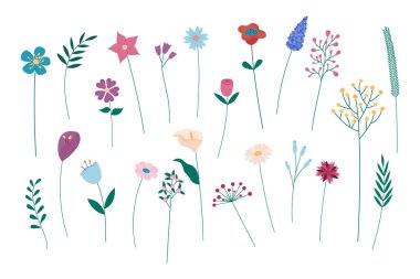 Çiçek vektörü ayarlandı. Düz çiçek desenli izole elementlerin toplanması. Beyaz arka planda soyut çiçekler açıyor. Çiçeğin vektör illüstrasyonu