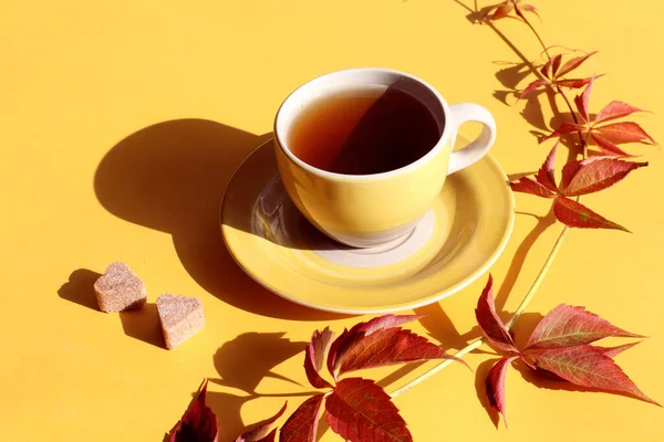 The concept of a warm cozy autumn. Yellow mug with hot tea, a branch of maiden grapes, two pieces of sugar in the shape of a heart on a yellow background, close-up