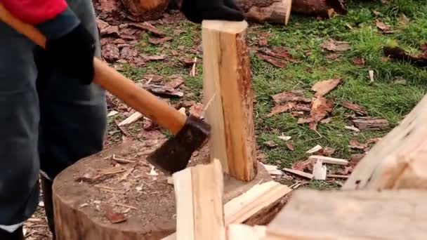 秋天寒冷天气的开始和冬季燃料的准备的概念 男人戴着手套的手在用斧头劈柴干活 — 图库视频影像