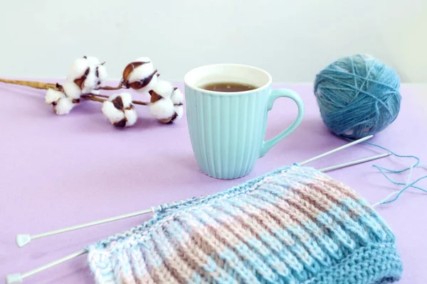 冬の針仕事 ニット 編み針 綿の枝 パステルの背景にお茶のカップ テキストのためのスペース — ストック写真