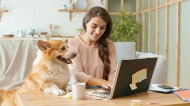Dizüstü bilgisayarla çalışan ve telefonda iş görüşmesi yapan güzel bir kadın koltukta oturuyor. Kanepede uzanmış Şirin bir köpek.