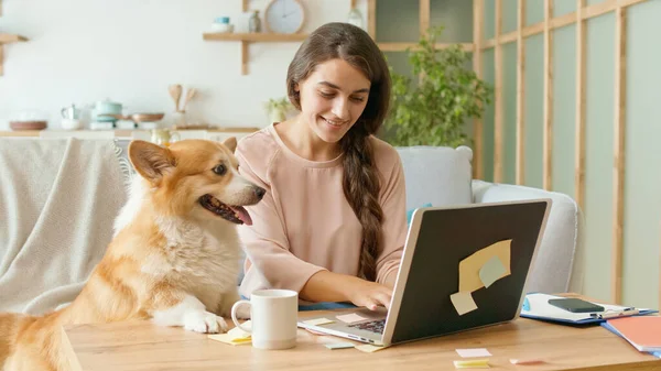 Dizüstü bilgisayarla çalışan ve telefonda iş görüşmesi yapan güzel bir kadın koltukta oturuyor. Kanepede uzanmış Şirin bir köpek.