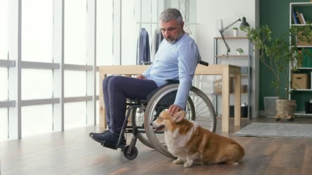 Depressiver Mann mittleren Alters sitzt im Rollstuhl am Fenster und streichelt seinen Hund — Stockvideo