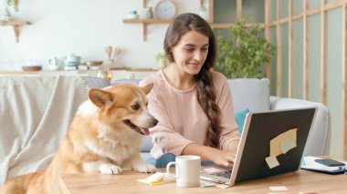 Dizüstü bilgisayarla çalışan ve telefonda iş görüşmesi yapan güzel bir kadın koltukta oturuyor. Kanepede uzanmış Şirin bir köpek.
