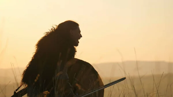 バイキングの戦士のシルエットは、剣と盾で戦っています。Contre jour — ストック写真